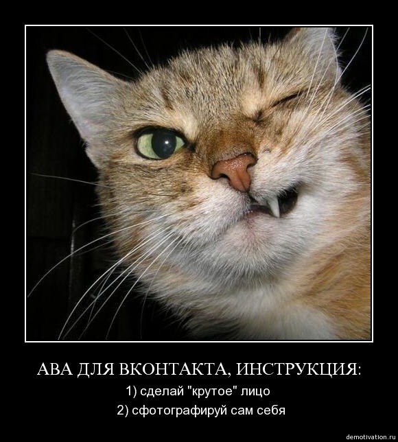 Сергей Бескревный sergbeskr | Винница