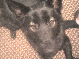 Оксана Труханова | Вожега