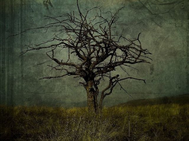 Анастасия Сергеевна | Санкт-Петербург