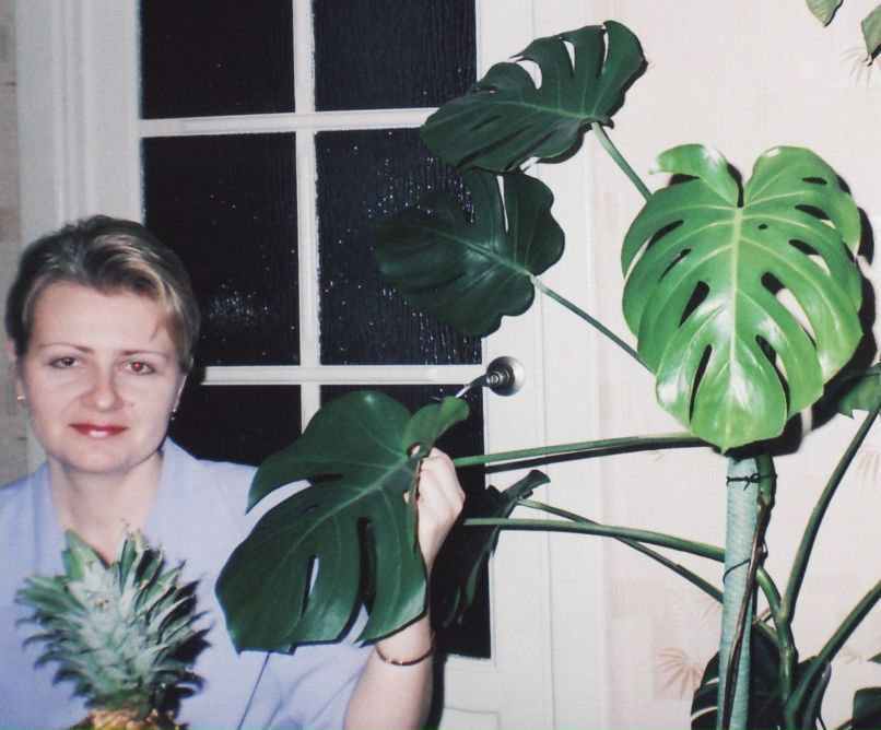 Елена Лапина | Витебск