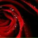 Елена Назаркина | Озёры