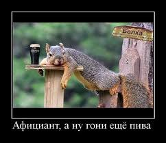 Иван Марченков | Калининград