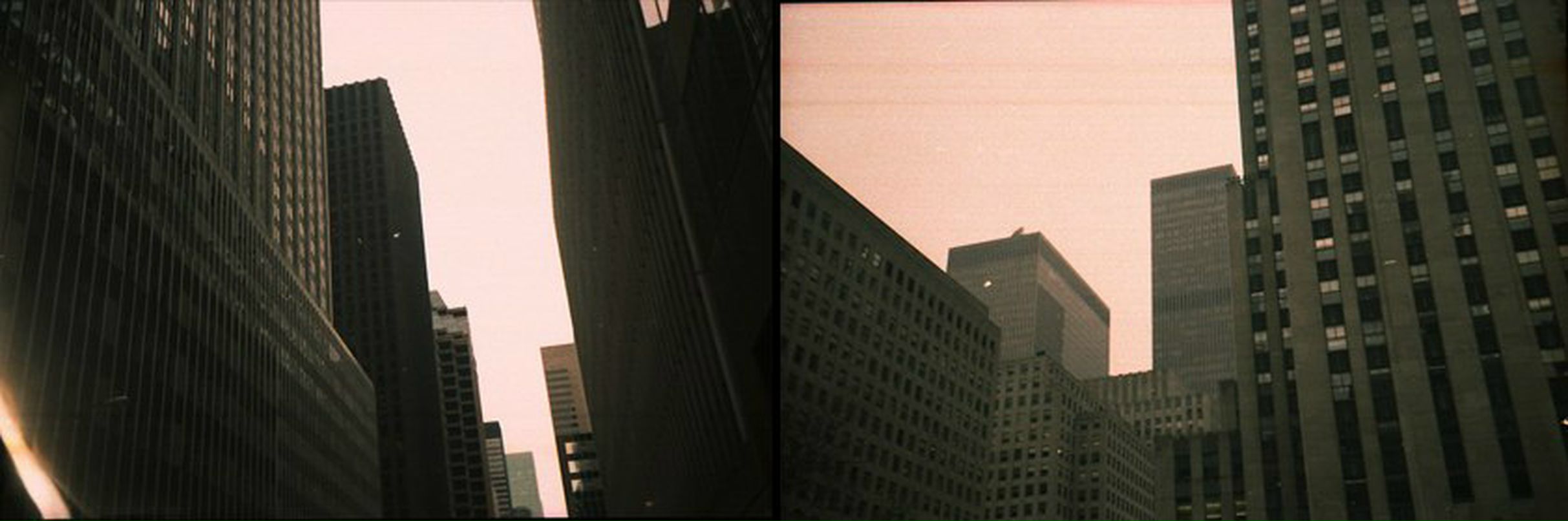 Василиса Прекрасная | Москва