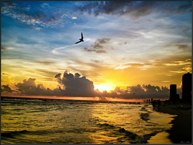 Альберт Маликов | Москва