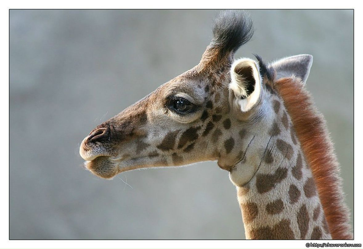 Татьяна Федотова | Екатеринбург