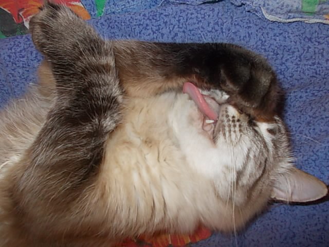 Полина Иванова | Черноголовка