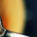 Анна Коновалова | Ростов-на-Дону