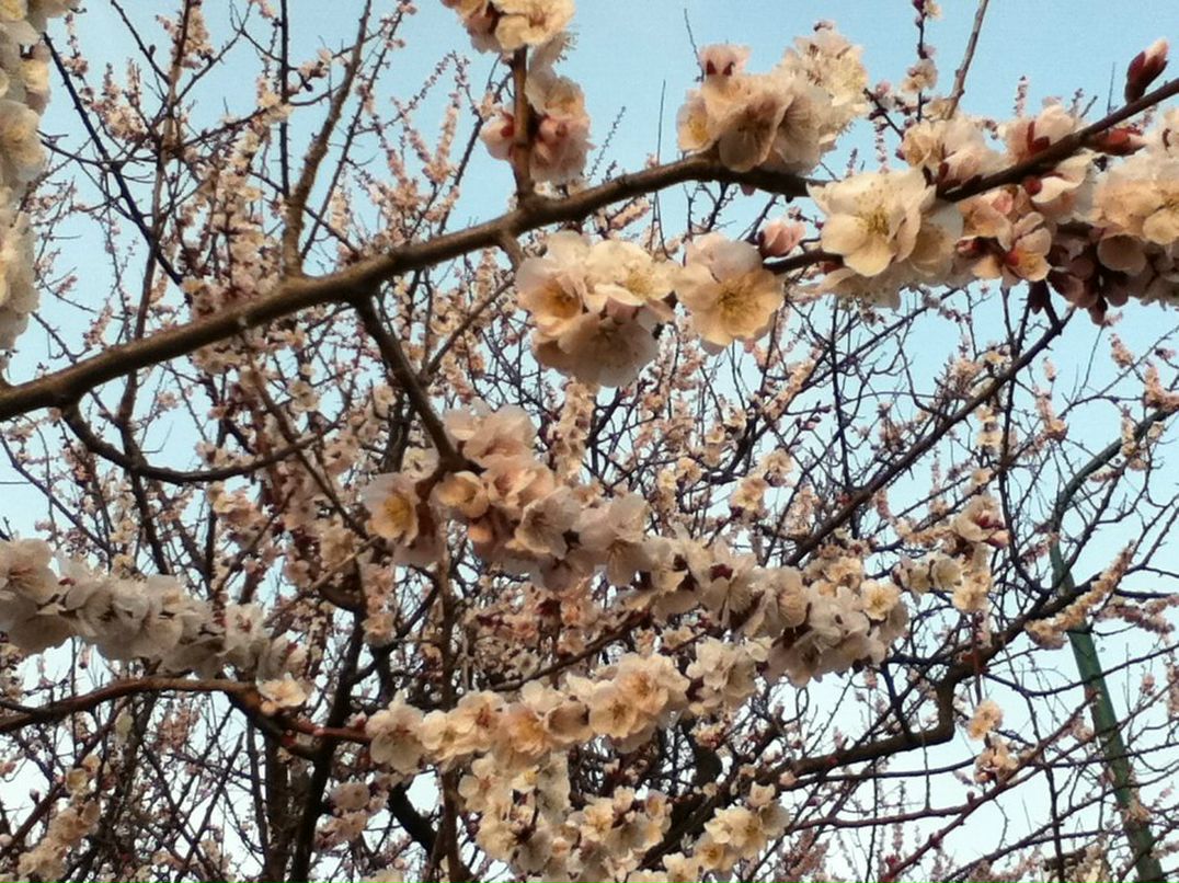 Константин Блиох | Харьков