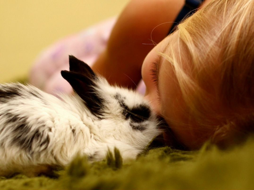 Оксана Набутовская | Черкассы