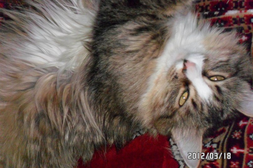 Наталия Казакова | Красноярск