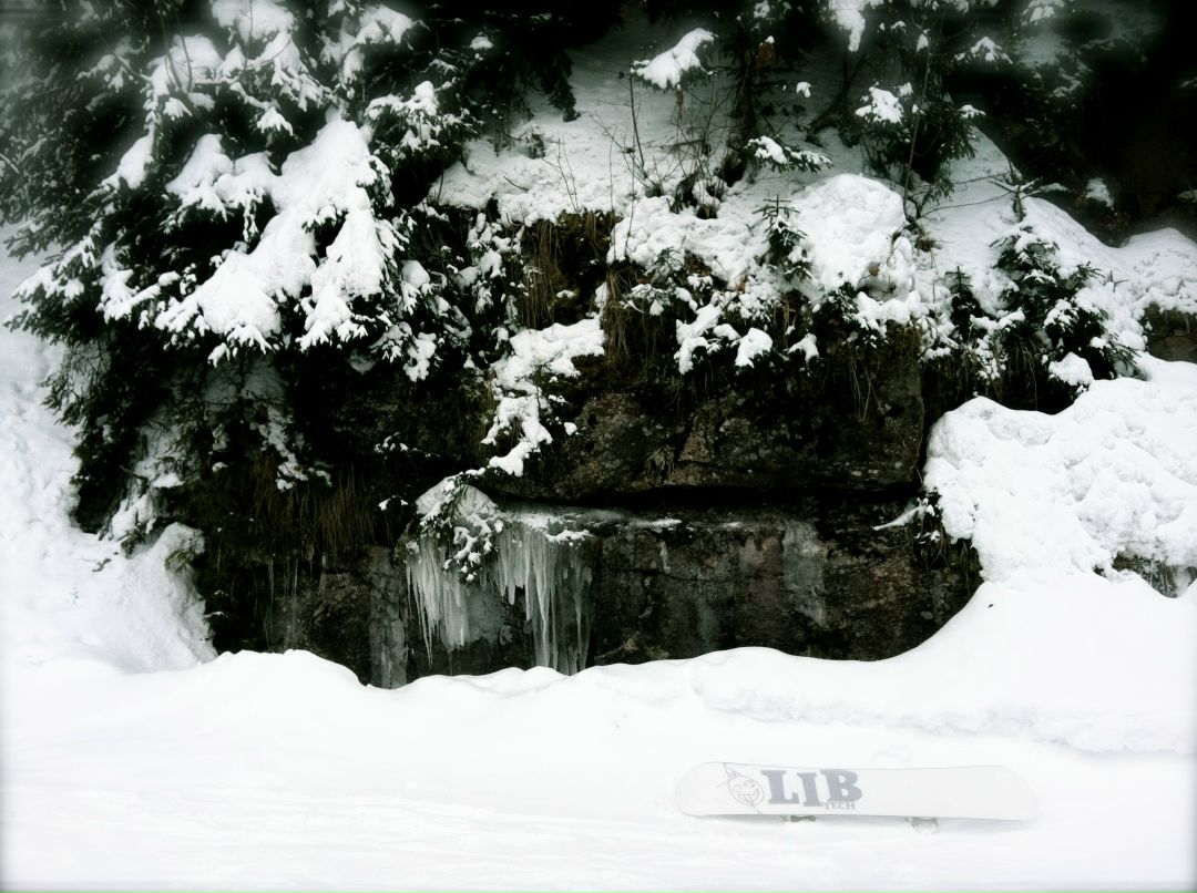 Евгений Скиба | Stuttgart