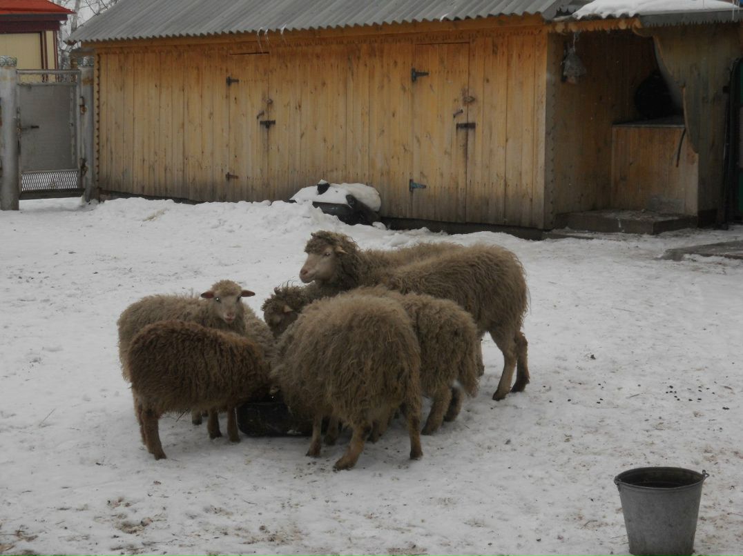 Екатерина Митрошина Олеговна | Уфа