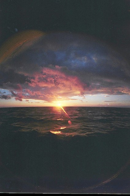 Танюша Косарева | 