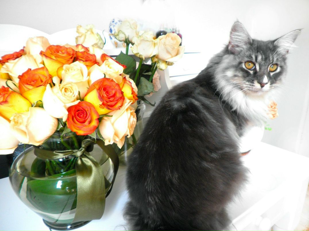 Ира Слепцова (Adoro_meu_Pessego) | Самара