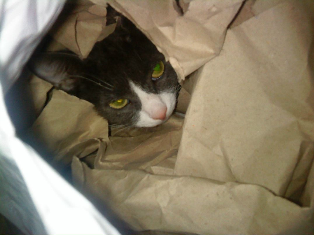 Лариса Ханова | Санкт-Петербург