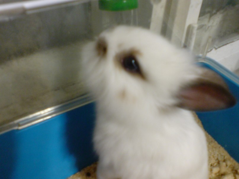 Юля Куприянова | Уфа