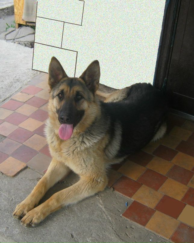 Сергей Ташкинов | Первомайск