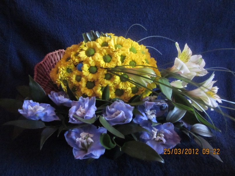 Ольга Дёмочкина | Великий Новгород