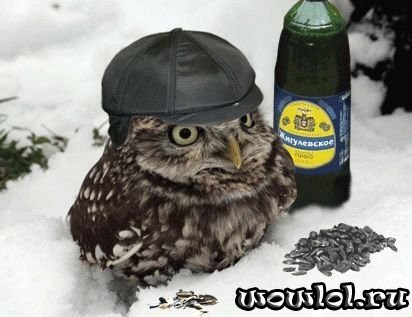 №12, Алексей Вертегел, Керчь №12, Алексей Вертегел, Керчь