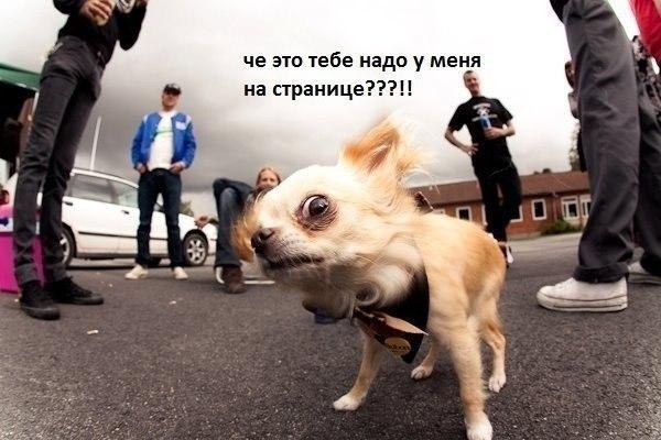 Настя Кот, Россия, Киров