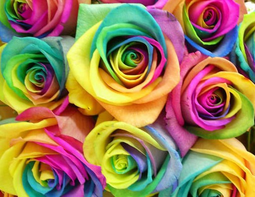 Эмиль Ахадов, Россия, Москва