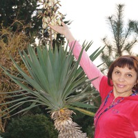 Елена Демина