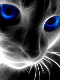 Оксана Зимина