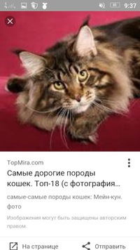 Олег Крылов