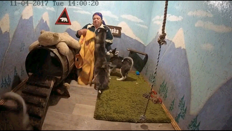 Обнимашки целовашки