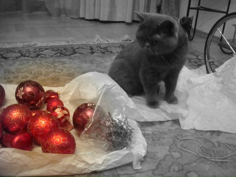 №163, София Щипская, Москва №163, София Щипская, Москва