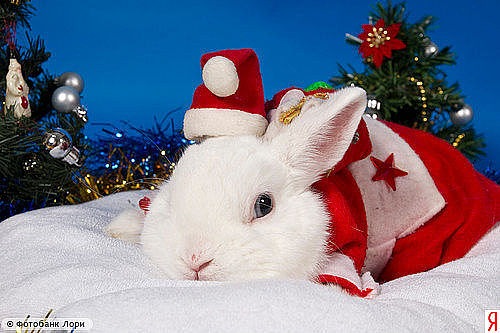 №136, Максим Романцов, 36 лет, Амвросиевка №136, Максим Романцов, 36 лет, Амвросиевка