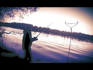 Не реально трудовой ФИДЕР. Ночная рыбалка в начале лета - Болен Рыбалкой №516