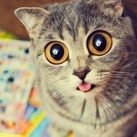 Анна Цой | Балаково