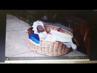 Koku kaka