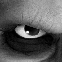 Евгений Василенко