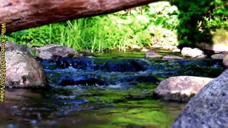 Forest River// HD #relax #2