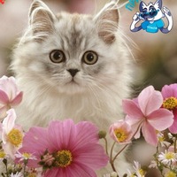 Людмила Петрова