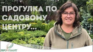 ПРОГУЛКА ПО САДОВОМУ ЦЕНТРУ.