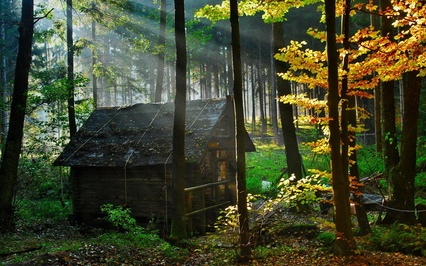 qwtzhc347tw.jpg