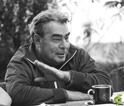 Дорогой Леонид Ильич... 15 октября 1964 года Леонид Брежнев встал у руля СССР, управляя им 18 лет. Многое из его жизни нам известно. Эпоха его правления до сих пор вызывает у нас немалый