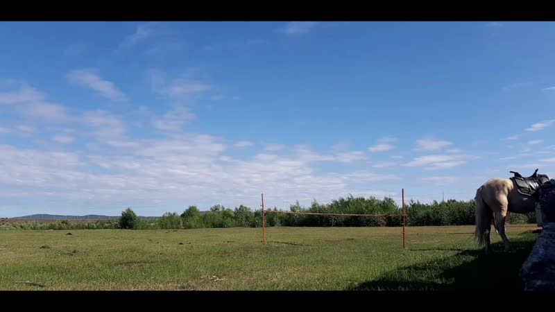 Видео от The Equestrian Style Horses and