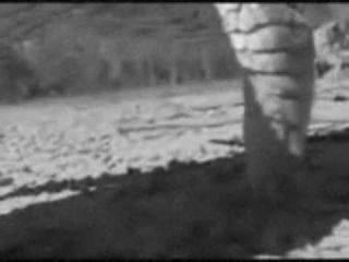 black metal interior crocodile alligator