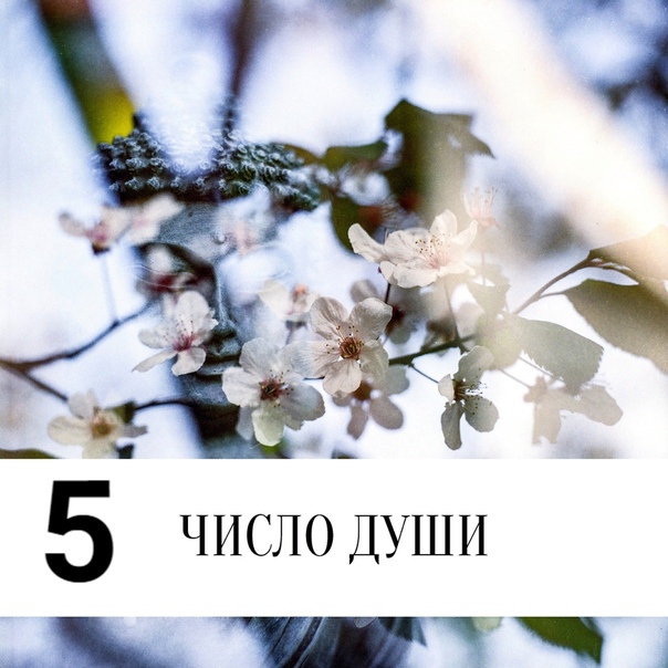 Число души в любви. Число души. Число души нумерология. Число души картинки. Число души 1.