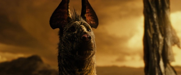 Собака из риддика. Динго Донго Риддик. Собака из хроники Риддика