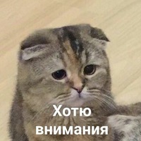 Владимир Рожков