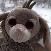 Евгения Булатова | 