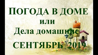 ВЕСЫ.  ДЕЛА ДОМАШНИЕ – сентябрь  2019. Прогноз Tarot.