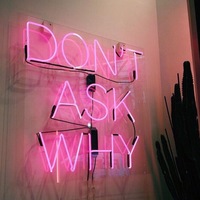 Лена Швецова | 