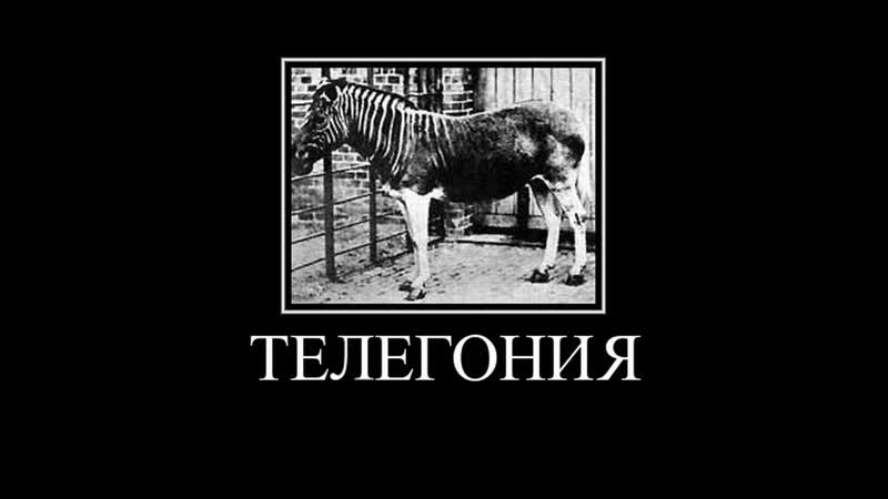Телегония