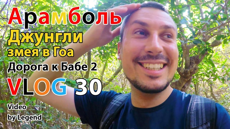 ВЛОГ: Индия. Джунгли. Змея в Гоа. Дорога к Бабе. Откровения